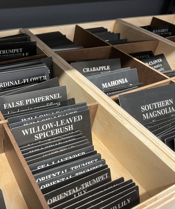 A close-up, angled shot of multiple wooden organizer trays filled with stacks of black plant identification labels. The trays feature dark wood dividers, creating separate slots for different plant species.